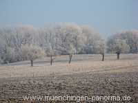 winter Jahreszeiten Münchingen Bild39