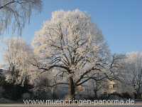 winter Jahreszeiten Münchingen Bild42
