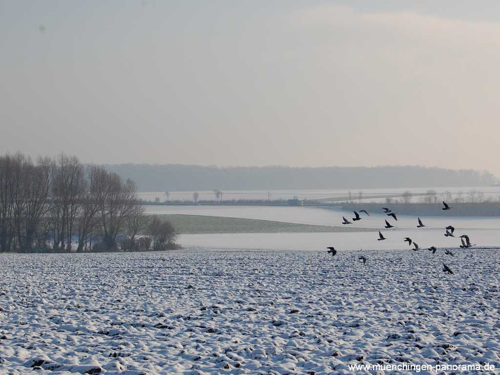 winter Jahreszeiten Münchingen Bild03