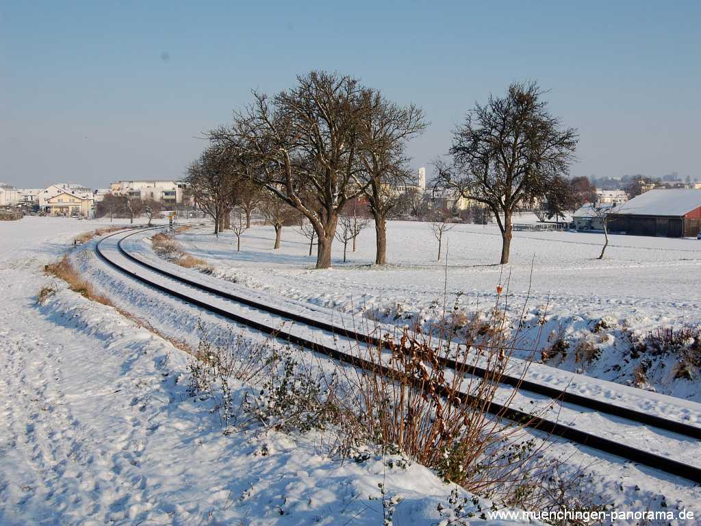 winter Jahreszeiten Münchingen Bild07
