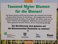 1000 Meter Blumen für die Bienen Landwirtschaft Münchingen Bild01