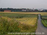 1000 Meter Blumen für die Bienen Landwirtschaft Münchingen Bild13