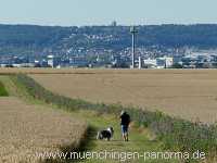 Blühstreifen Landwirtschaft Münchingen Bild32