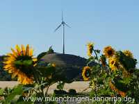 Blühstreifen Landwirtschaft Münchingen Bild35