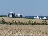 Blütenkorn Landwirtschaft Münchingen Bild12