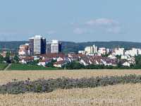 Blütenkorn Landwirtschaft Münchingen Bild16