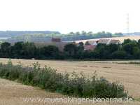 Blütenkorn Landwirtschaft Münchingen Bild23