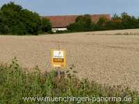 Blütenkorn Landwirtschaft Münchingen Bild36