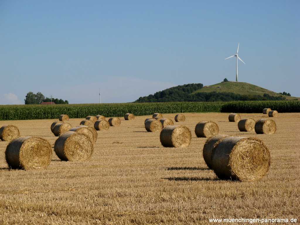 Ernte-Zeit Landwirtschaft Münchingen Bild07