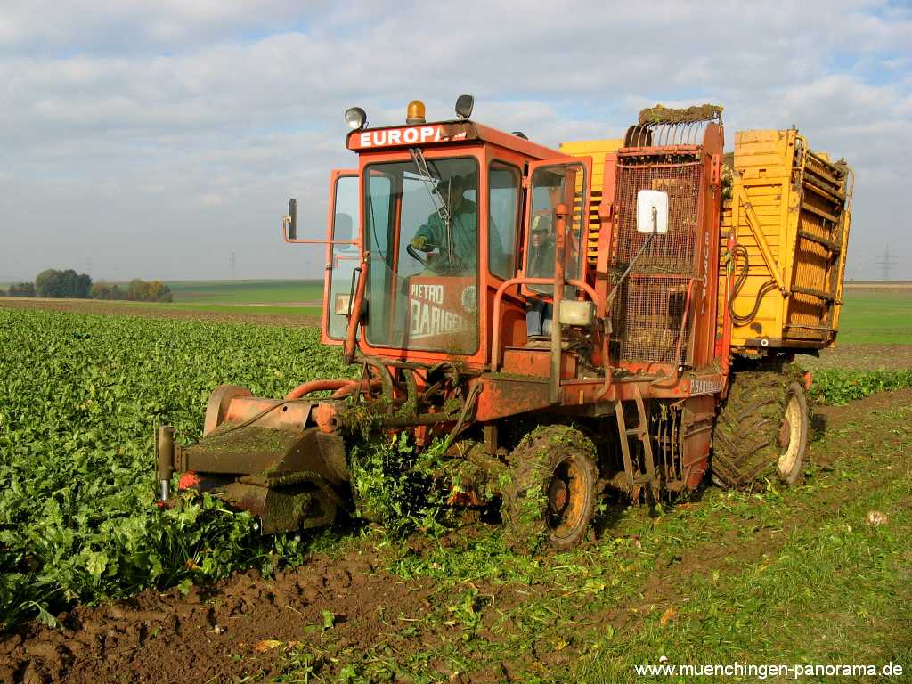 Ernte-Zeit Landwirtschaft Münchingen Bild28