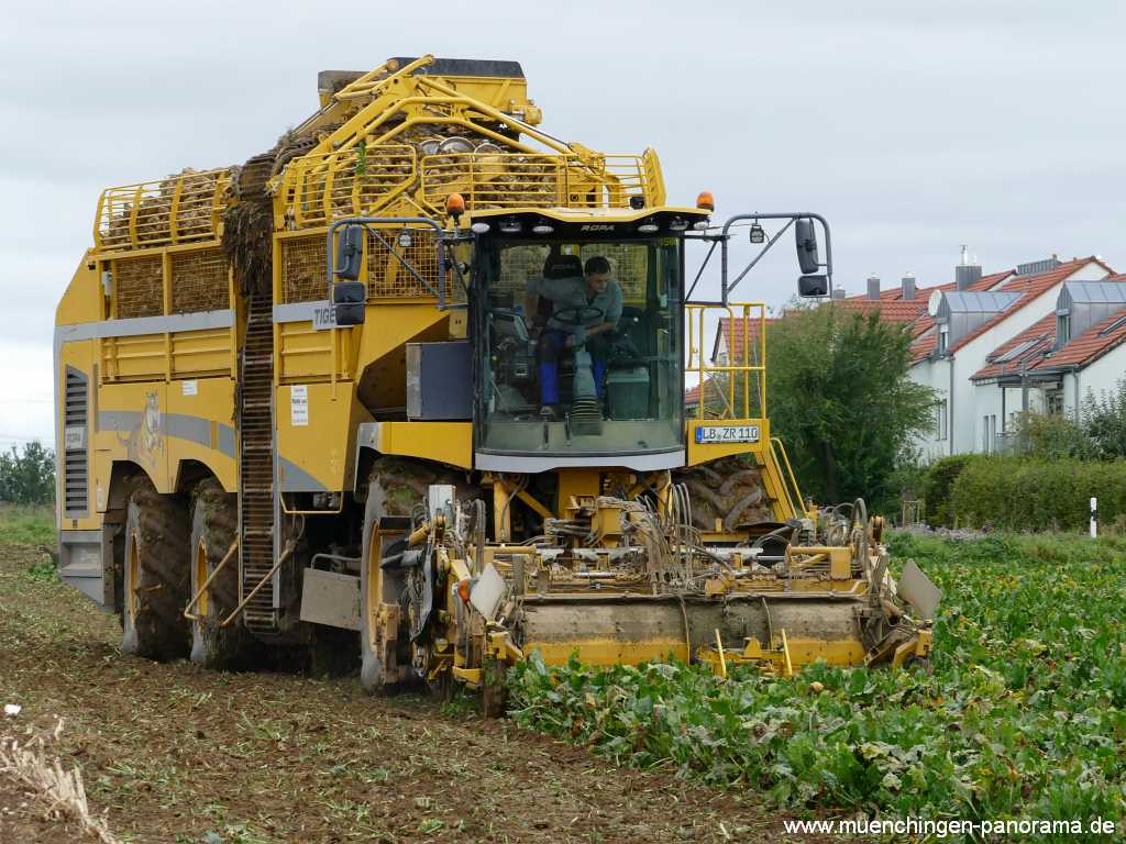 Ernte-Zeit Landwirtschaft Münchingen Bild39