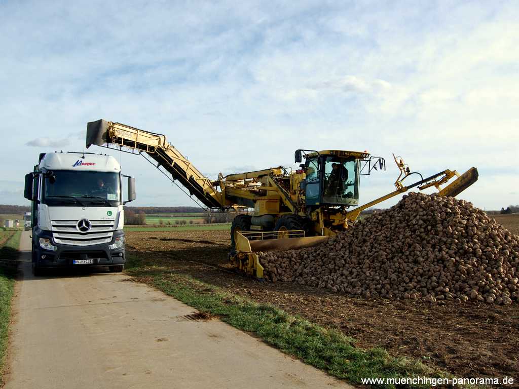 Ernte-Zeit Landwirtschaft Münchingen Bild49