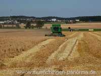 Ernte-Zeit Landwirtschaft Münchingen Bild03