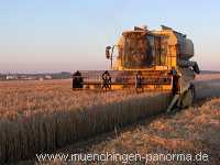 Ernte-Zeit Landwirtschaft Münchingen Bild05