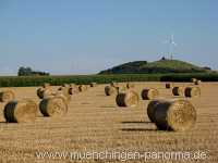 Ernte-Zeit Landwirtschaft Münchingen Bild07