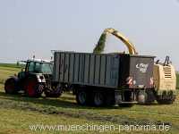 Ernte-Zeit Landwirtschaft Münchingen Bild10