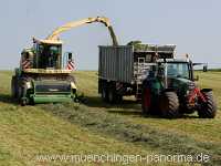 Ernte-Zeit Landwirtschaft Münchingen Bild11