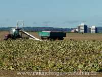 Ernte-Zeit Landwirtschaft Münchingen Bild13