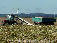 Ernte-Zeit Landwirtschaft Münchingen Bild14