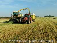 Ernte-Zeit Landwirtschaft Münchingen Bild15