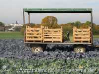 Ernte-Zeit Landwirtschaft Münchingen Bild20