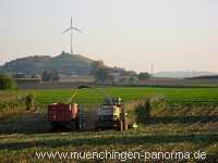 Ernte-Zeit Landwirtschaft Münchingen Bild22