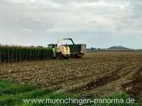 Ernte-Zeit Landwirtschaft Münchingen Bild23