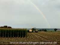 Ernte-Zeit Landwirtschaft Münchingen Bild24