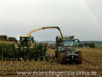 Ernte-Zeit Landwirtschaft Münchingen Bild25