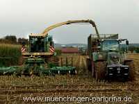 Ernte-Zeit Landwirtschaft Münchingen Bild26