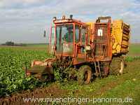 Ernte-Zeit Landwirtschaft Münchingen Bild28