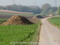 Ernte-Zeit Landwirtschaft Münchingen Bild31