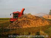 Ernte-Zeit Landwirtschaft Münchingen Bild32