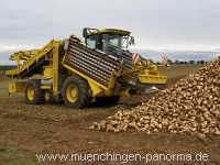 Ernte-Zeit Landwirtschaft Münchingen Bild33