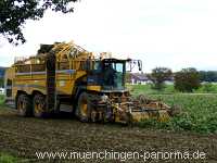 Ernte-Zeit Landwirtschaft Münchingen Bild36