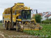 Ernte-Zeit Landwirtschaft Münchingen Bild39