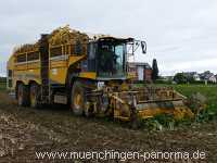 Ernte-Zeit Landwirtschaft Münchingen Bild40