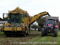 Ernte-Zeit Landwirtschaft Münchingen Bild42