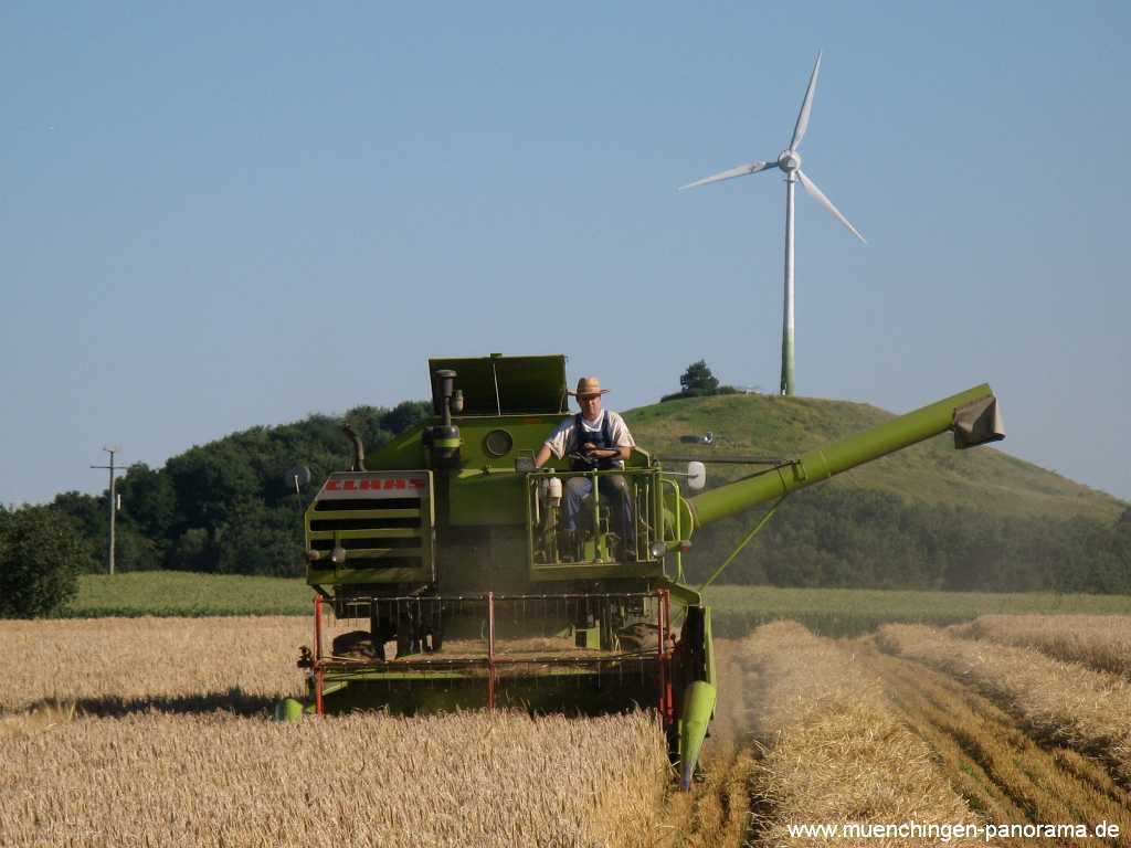 Getreide-Ernte Landwirtschaft Münchingen Bild02