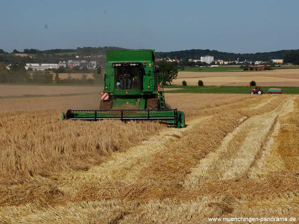 Getreide-Ernte Landwirtschaft Münchingen Bild10