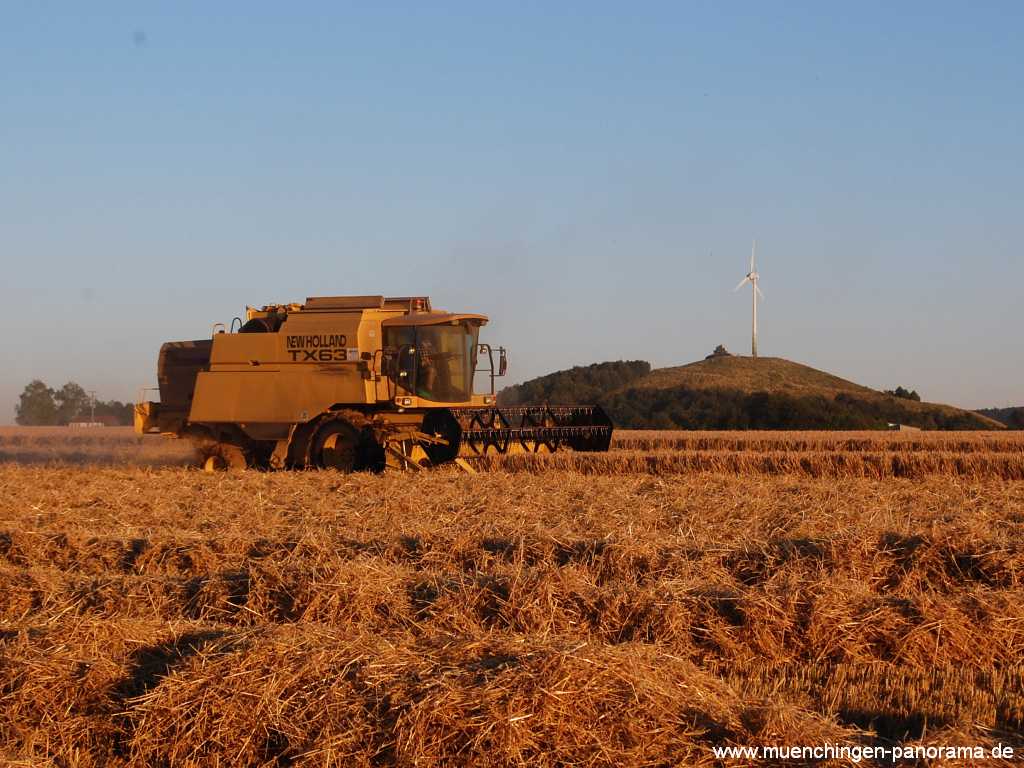 Getreide-Ernte Landwirtschaft Münchingen Bild21