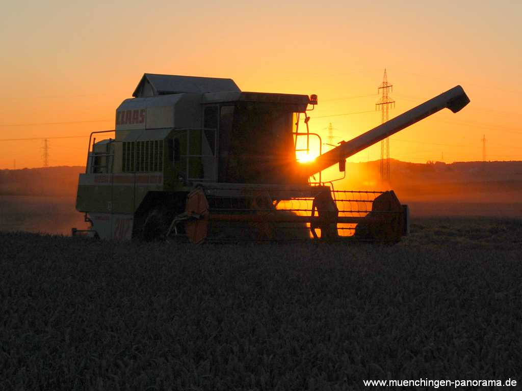 Getreide-Ernte Landwirtschaft Münchingen Bild34