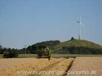 Getreide-Ernte Landwirtschaft Münchingen Bild01