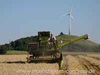 Getreide-Ernte Landwirtschaft Münchingen Bild02