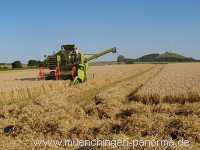 Getreide-Ernte Landwirtschaft Münchingen Bild03