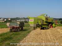 Getreide-Ernte Landwirtschaft Münchingen Bild04