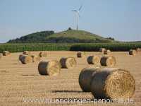 Getreide-Ernte Landwirtschaft Münchingen Bild05