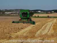 Getreide-Ernte Landwirtschaft Münchingen Bild10
