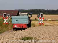Getreide-Ernte Landwirtschaft Münchingen Bild12