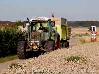 Getreide-Ernte Landwirtschaft Münchingen Bild13